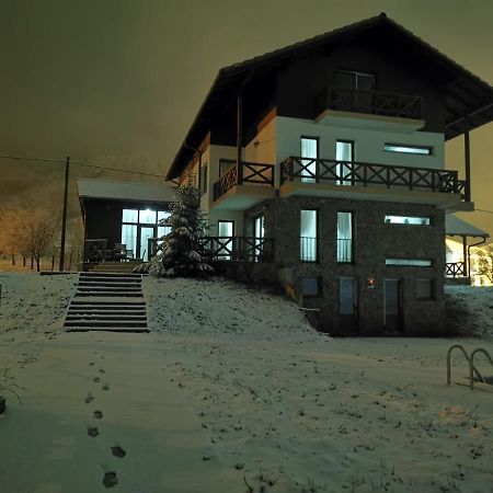 Pensiunea La Nenea Iancu Pianu de Sus Exteriér fotografie