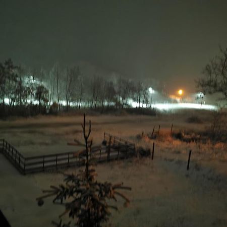 Pensiunea La Nenea Iancu Pianu de Sus Exteriér fotografie