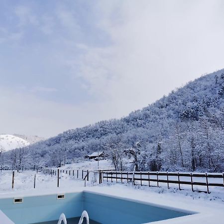 Pensiunea La Nenea Iancu Pianu de Sus Exteriér fotografie