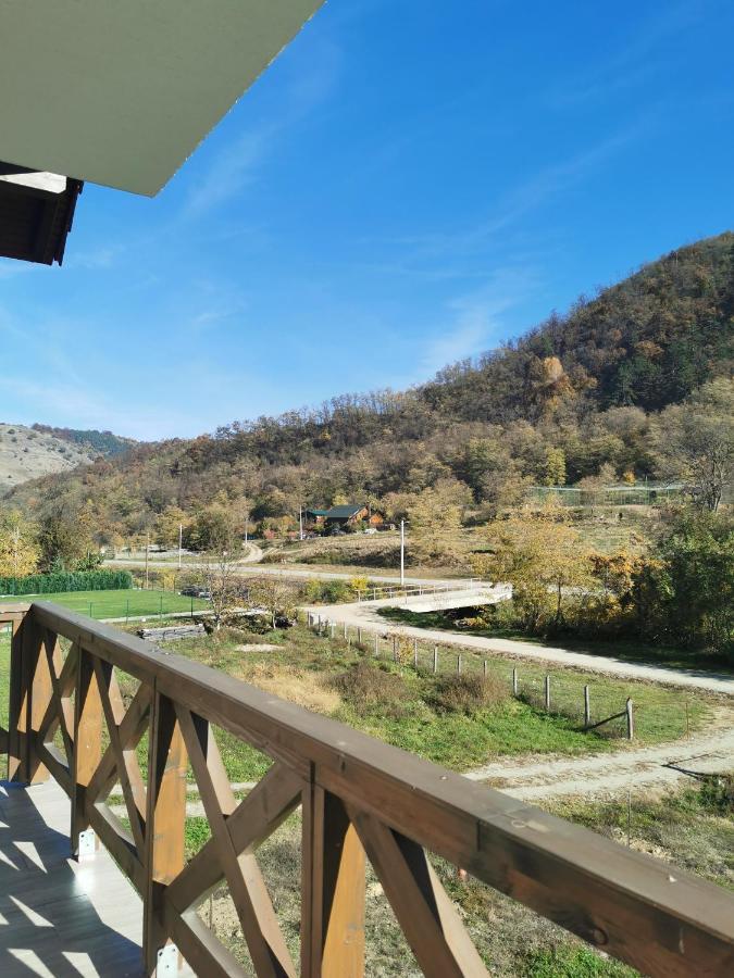 Pensiunea La Nenea Iancu Pianu de Sus Exteriér fotografie