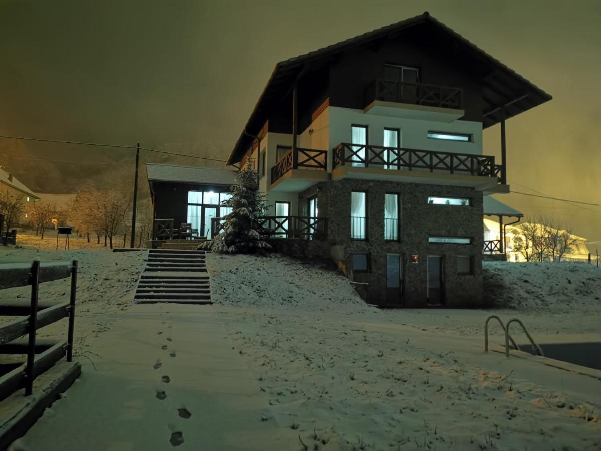 Pensiunea La Nenea Iancu Pianu de Sus Exteriér fotografie