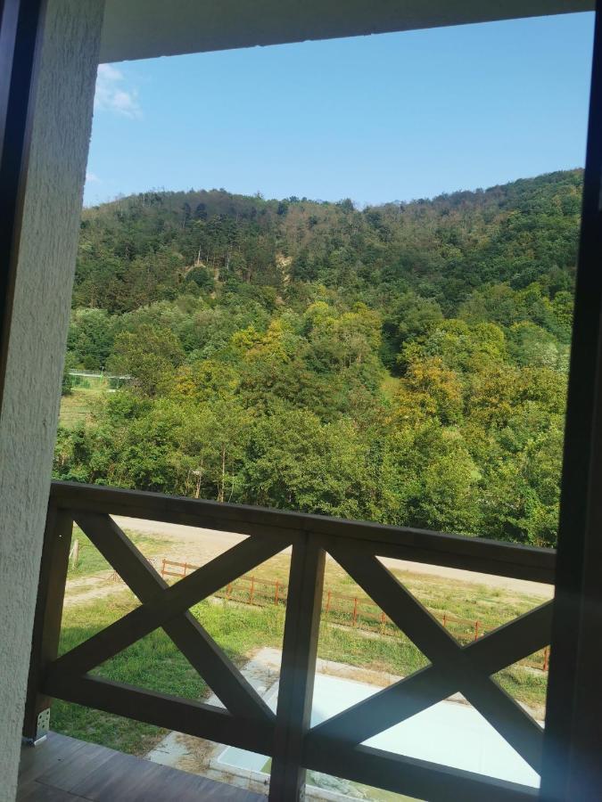 Pensiunea La Nenea Iancu Pianu de Sus Exteriér fotografie
