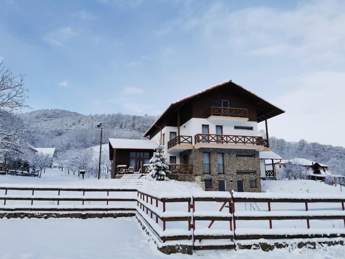 Pensiunea La Nenea Iancu Pianu de Sus Exteriér fotografie