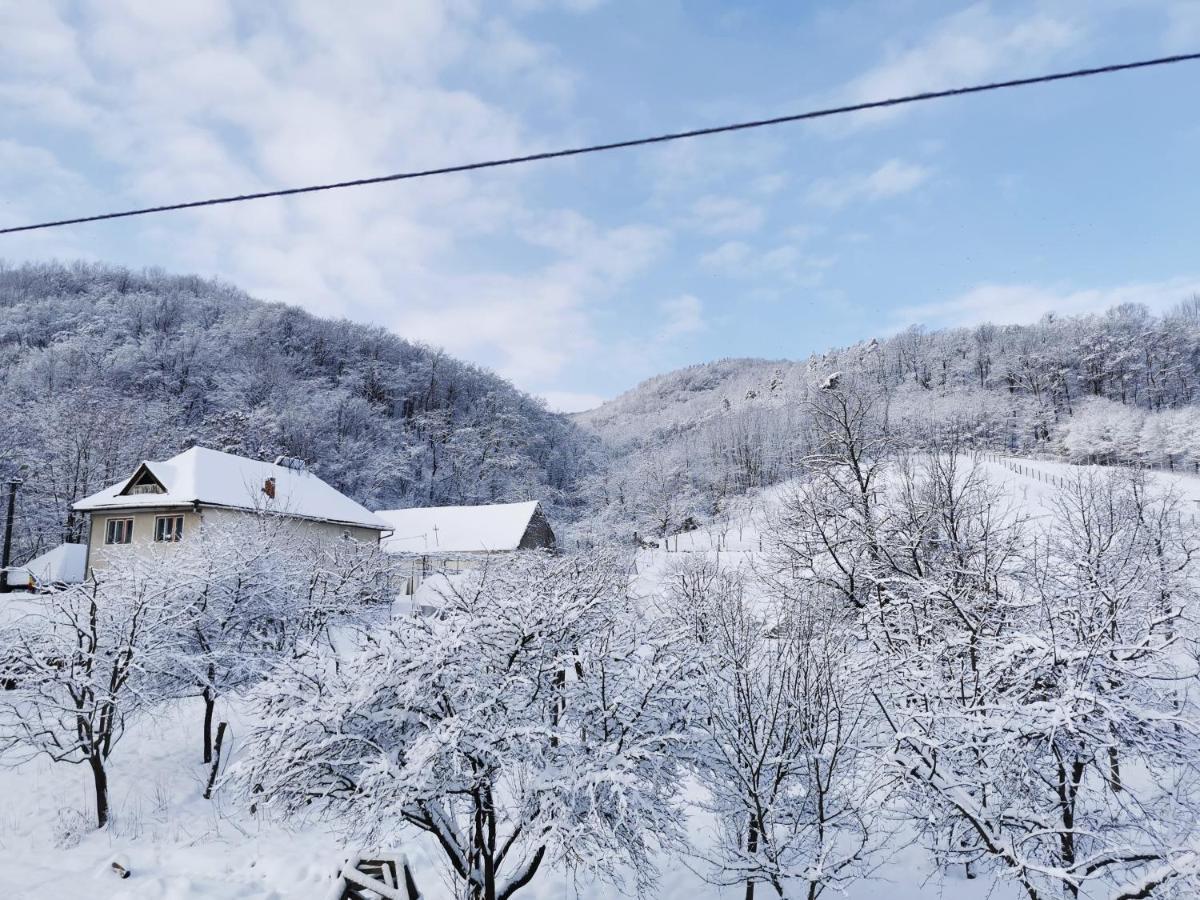 Pensiunea La Nenea Iancu Pianu de Sus Exteriér fotografie