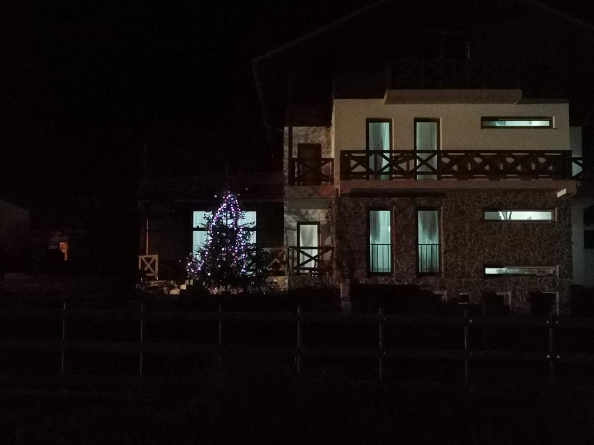 Pensiunea La Nenea Iancu Pianu de Sus Exteriér fotografie