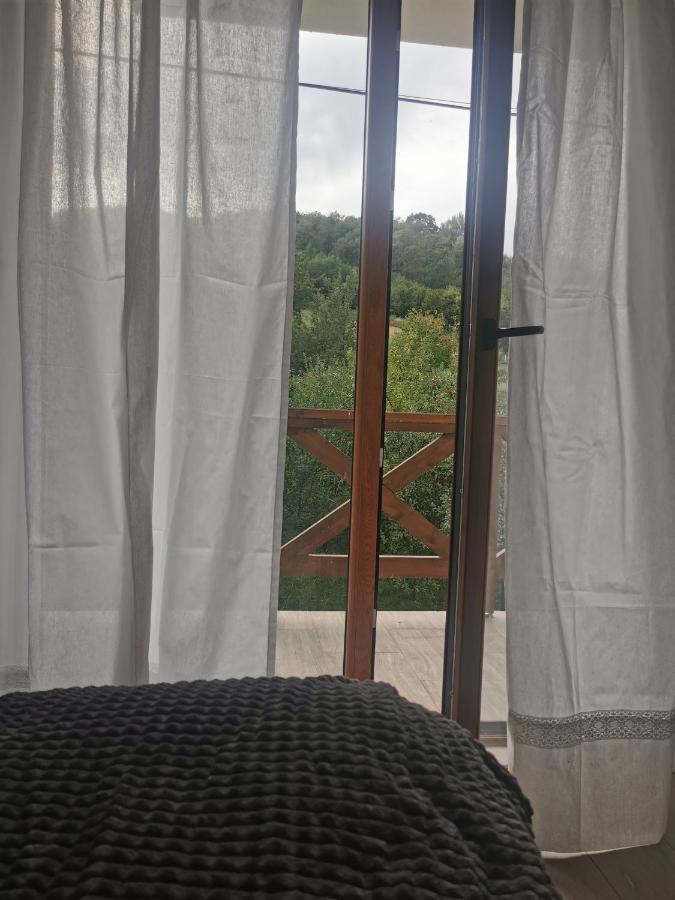 Pensiunea La Nenea Iancu Pianu de Sus Exteriér fotografie